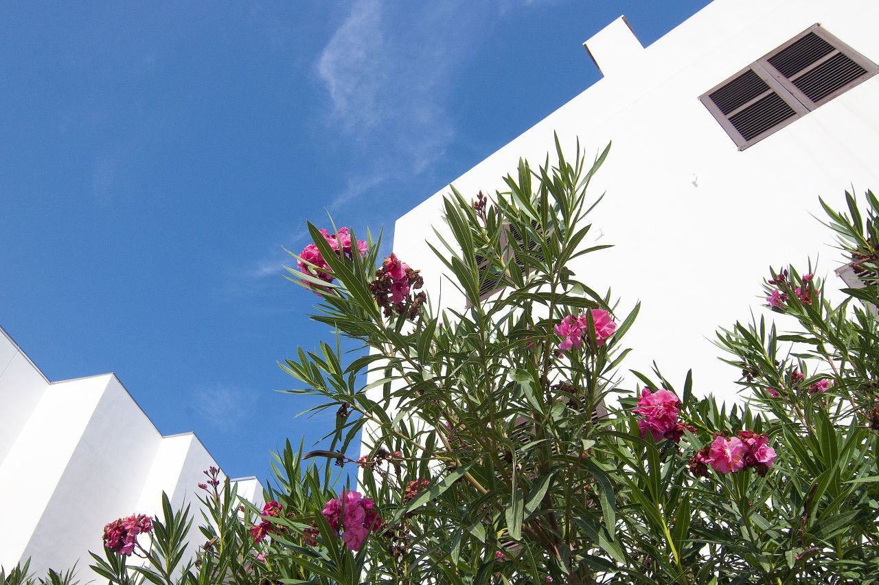 Apartamentos Pou Des Pujols Bagian luar foto